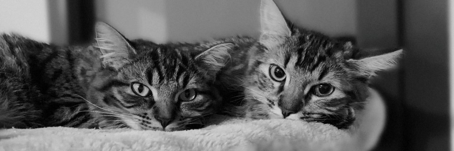 _Mndgv's profile banner image