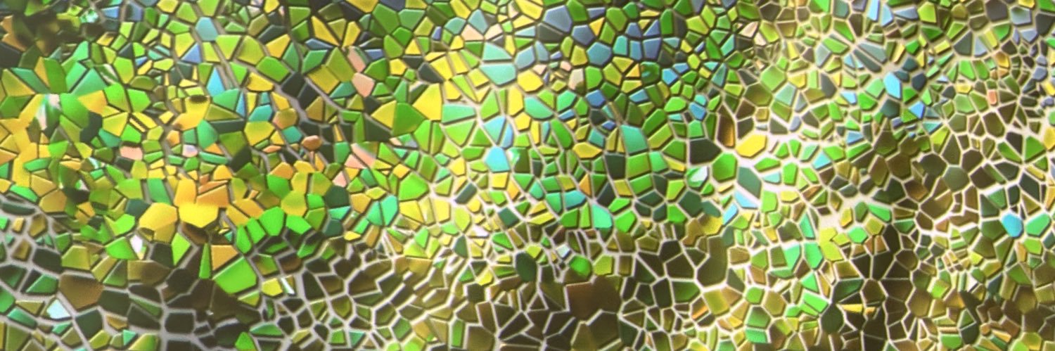 MiyShiny's profile banner image