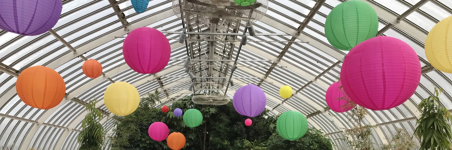 Marianne Holohan banner