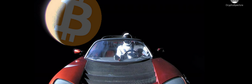 TheCryptoDude01's profile banner image