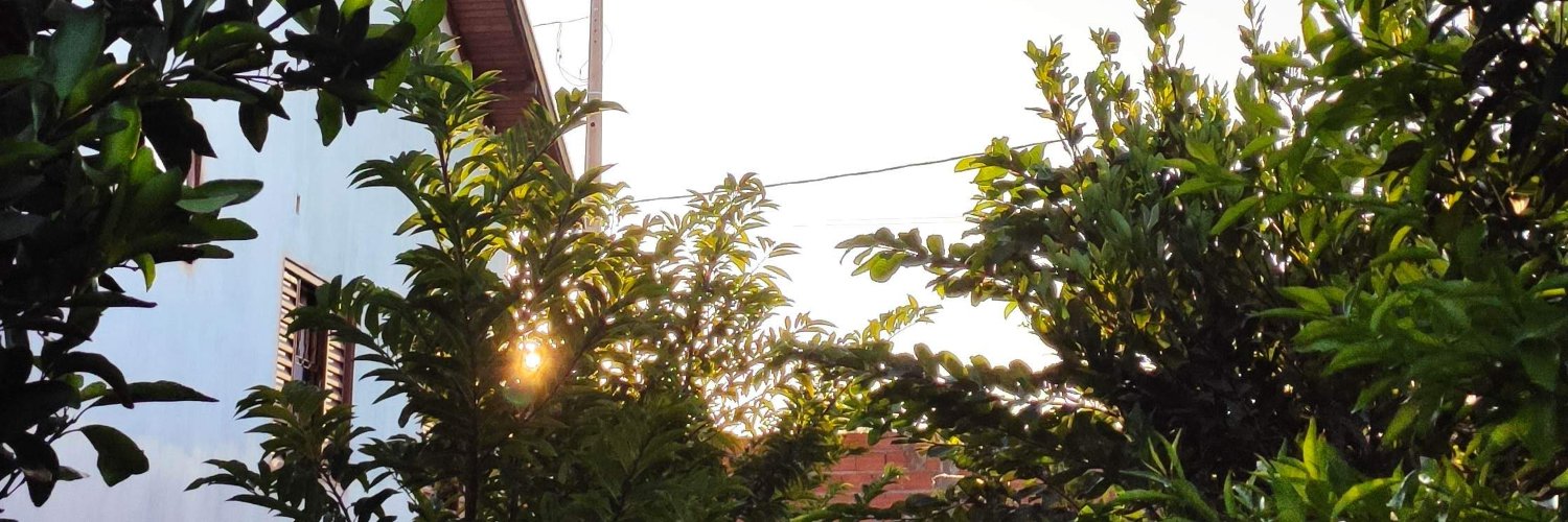 lehts2's profile banner image