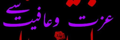 rajzada's profile banner image