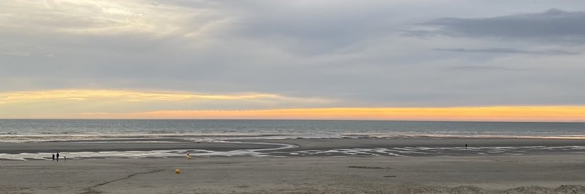 camillebtht's profile banner image