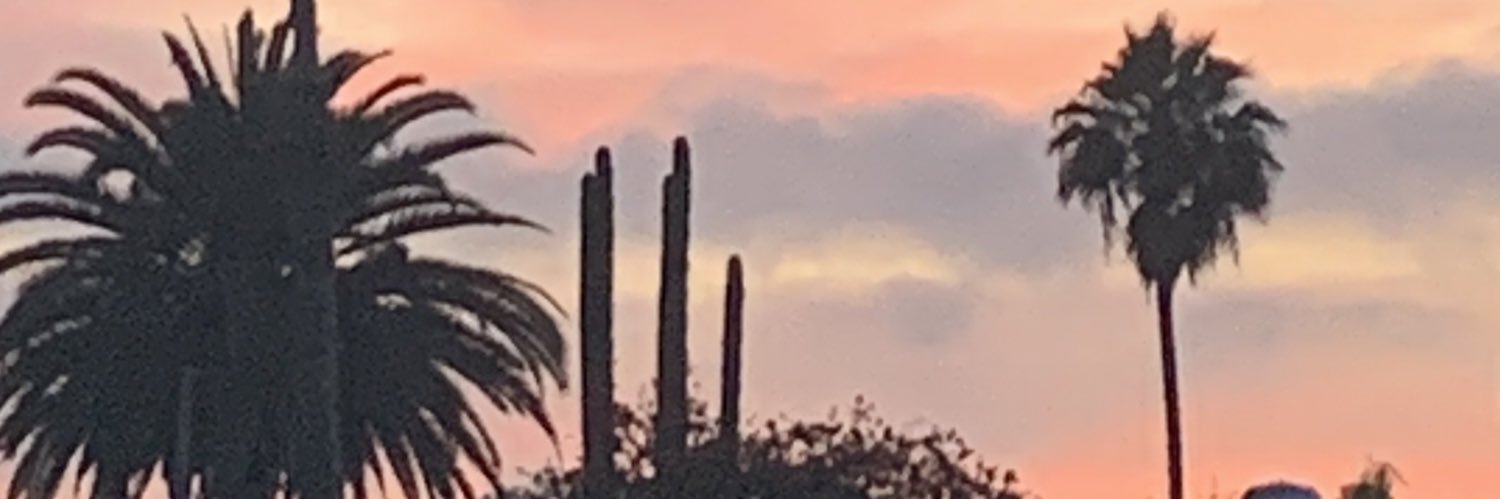 writercar's profile banner image