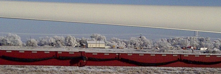 bluemurry⭐️⭐️⭐️ banner