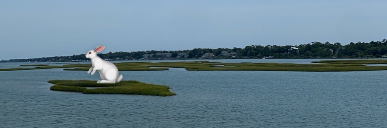 Phil Palmfeather banner