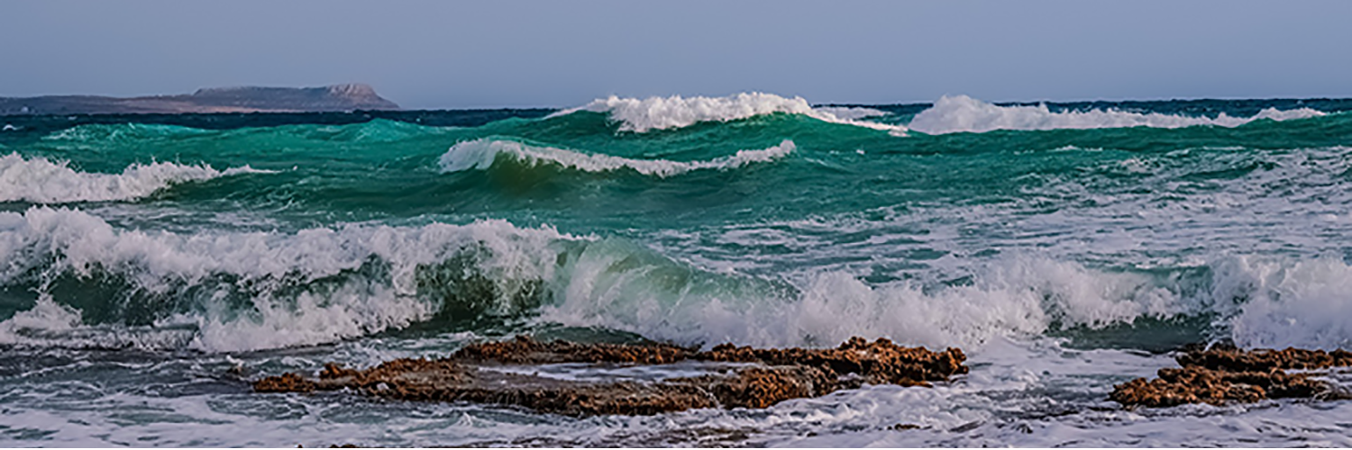 Preserve Truth - I took a vow of silence, then.. banner