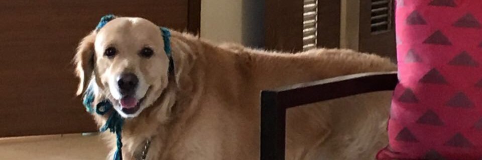 Sherlock Ghoshal banner