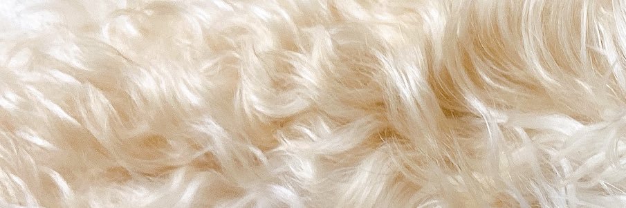 dppy_py's profile banner image