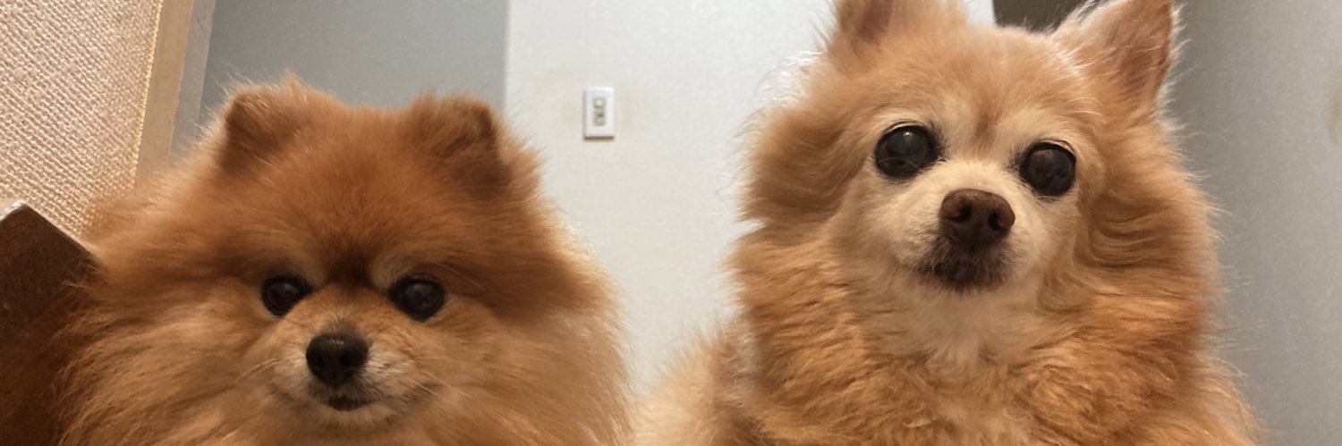 akebi99's profile banner image