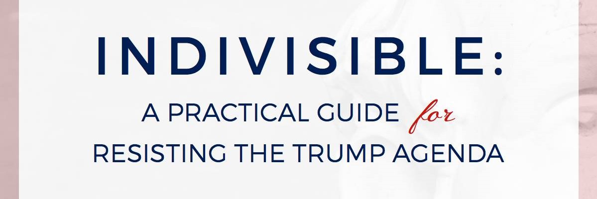 Indivisible DougCo 4 banner