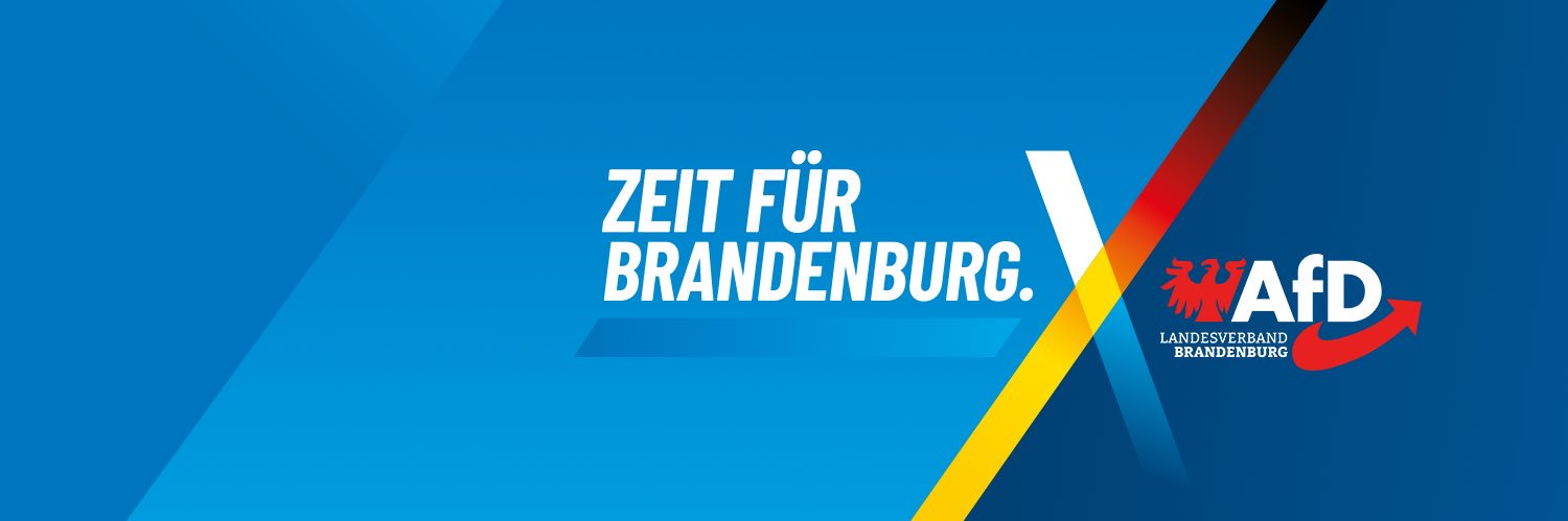 René Springer banner