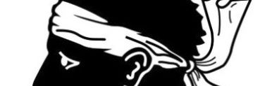 🐼 07 banner