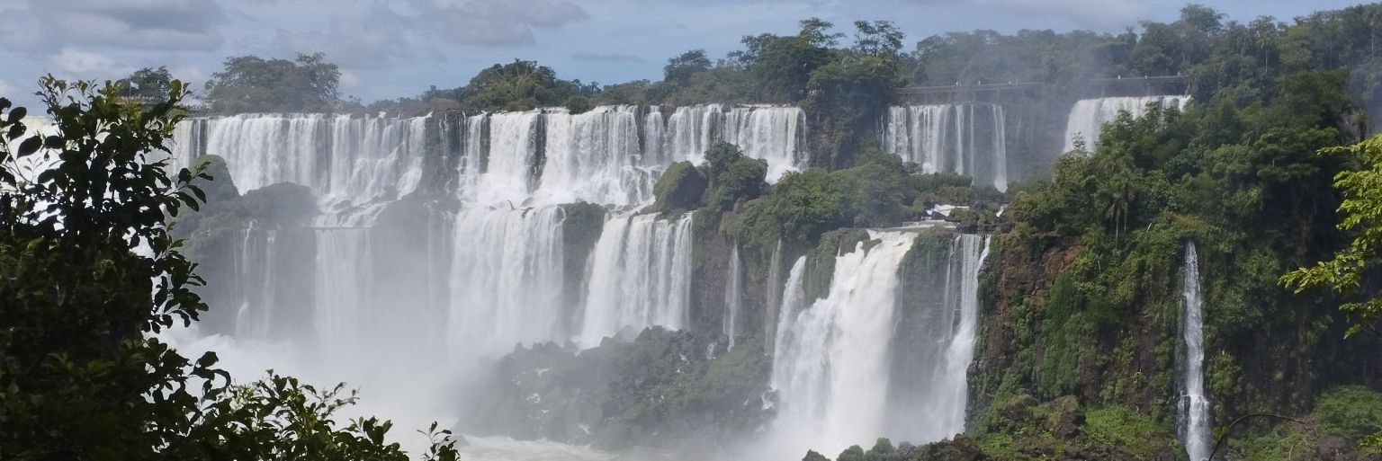 Daves You Know banner