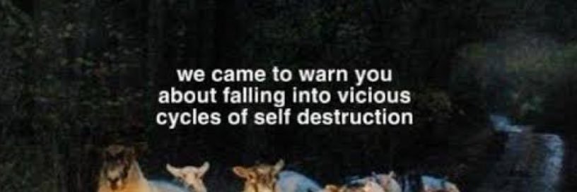 pedroxdare's profile banner image