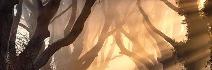 felixinthemix's profile banner image