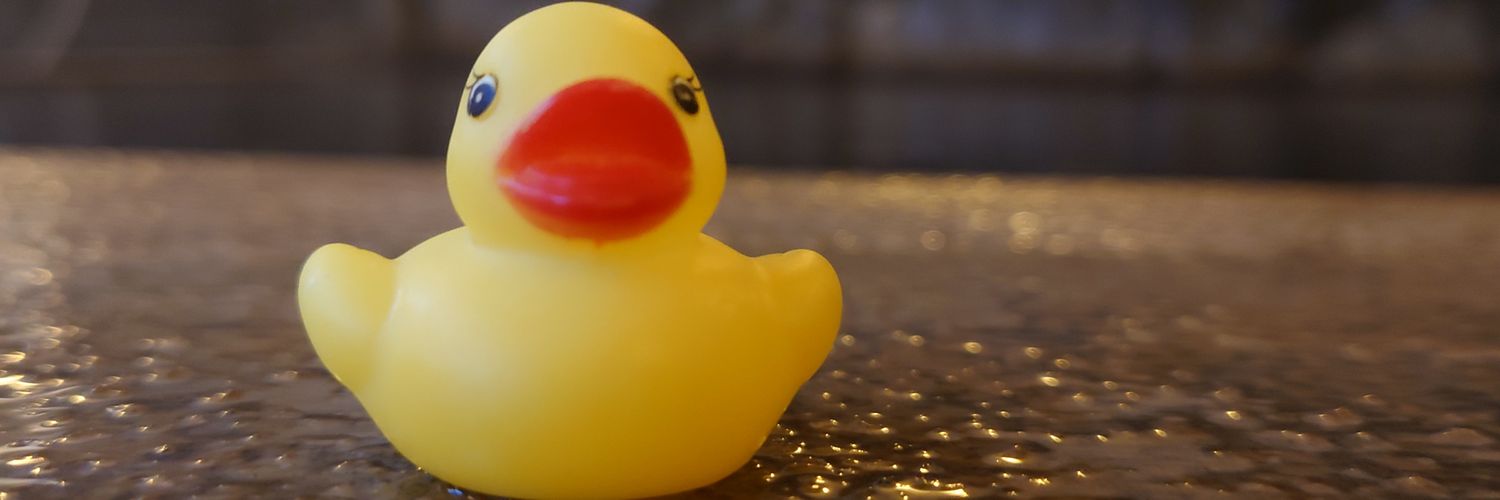 tk0840's profile banner image