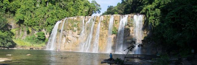 Karl der Käfer banner