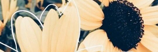 Renee🍌 Free OF🔗 banner