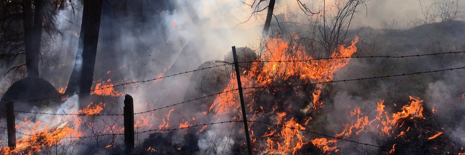 Dr. Kara M Yedinak banner