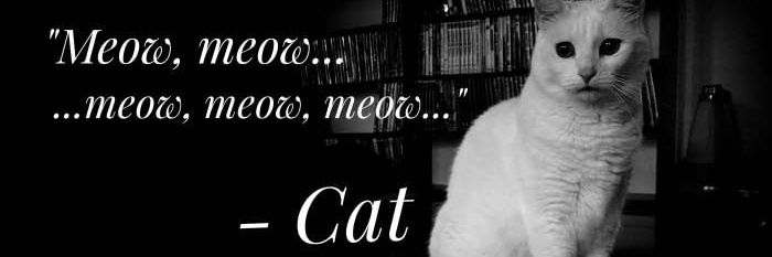 ChaMew banner