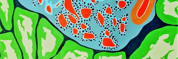 arkanalabs Profile Banner