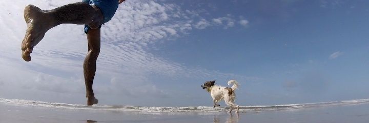 vern3r's profile banner image