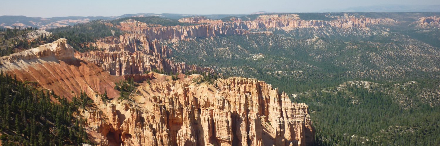 Stephen Wynne-Jones banner