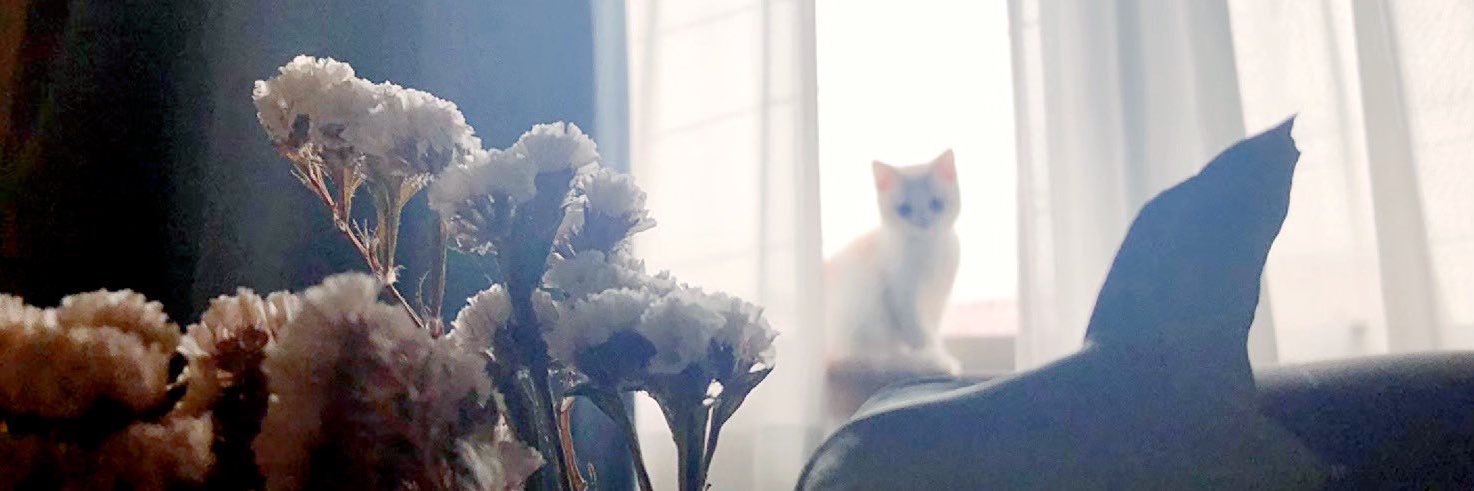 mh_e99's profile banner image