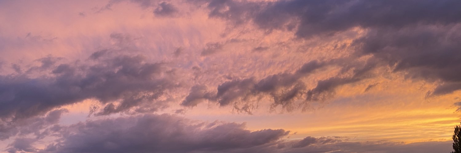 sheilasprinter's profile banner image