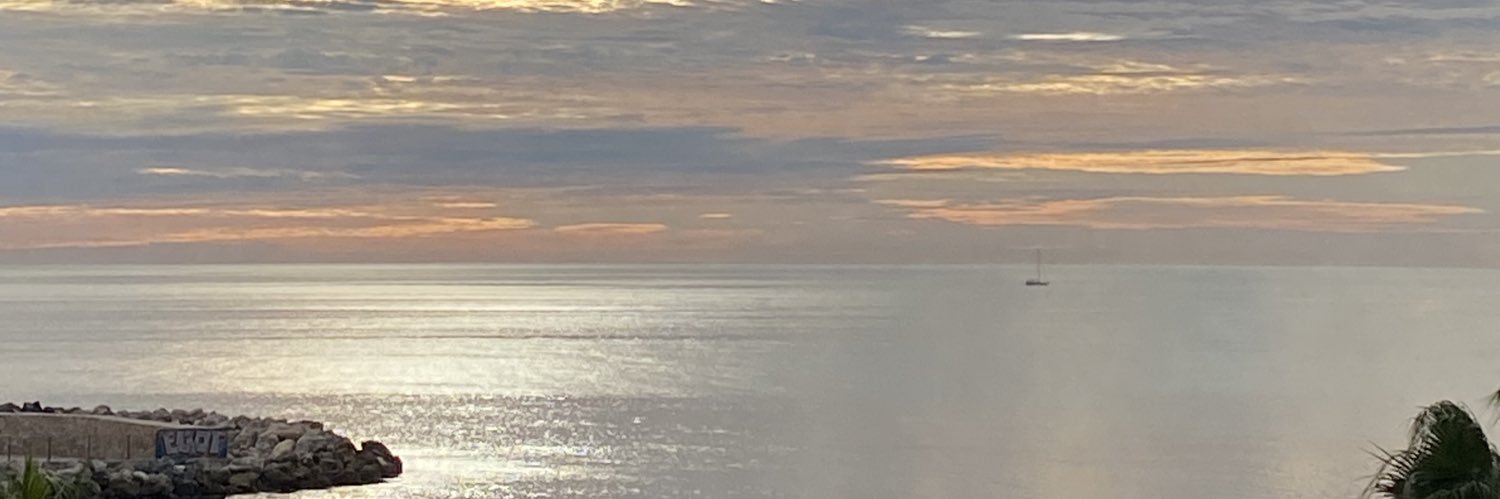 Rocío banner