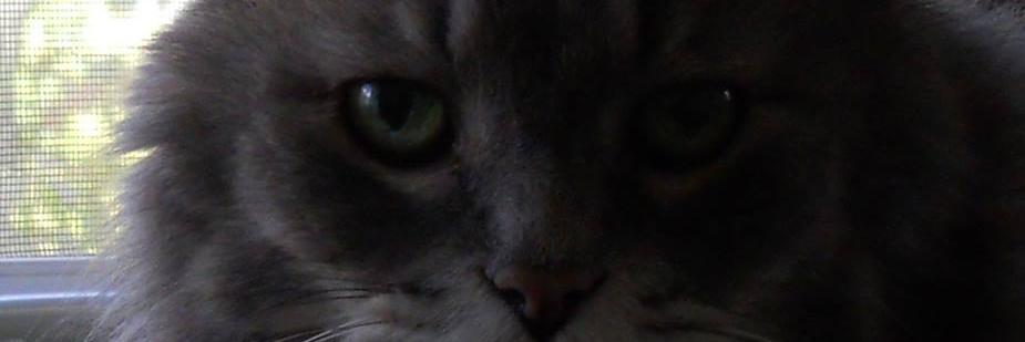 Winnie3378's profile banner image
