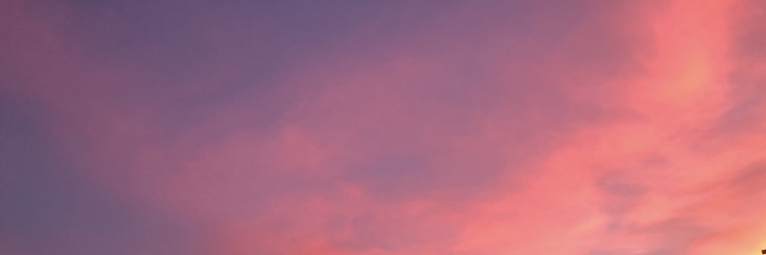 Noella_L's profile banner image