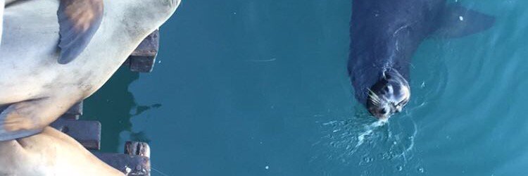 MickaylaBischer's profile banner image