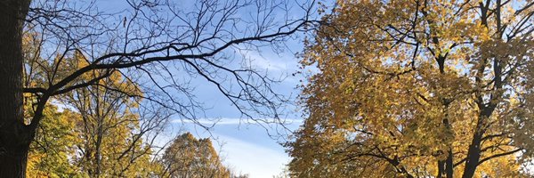 MsChurchsClass Profile Banner