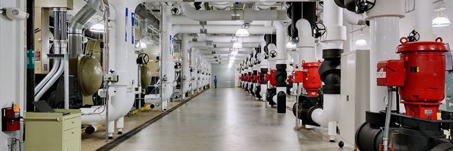 David Aninowsky banner