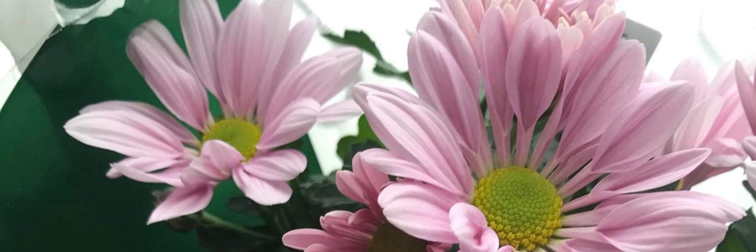 Elizabeth W banner