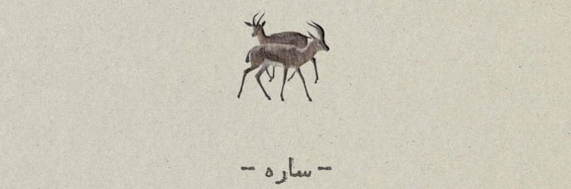 99 banner