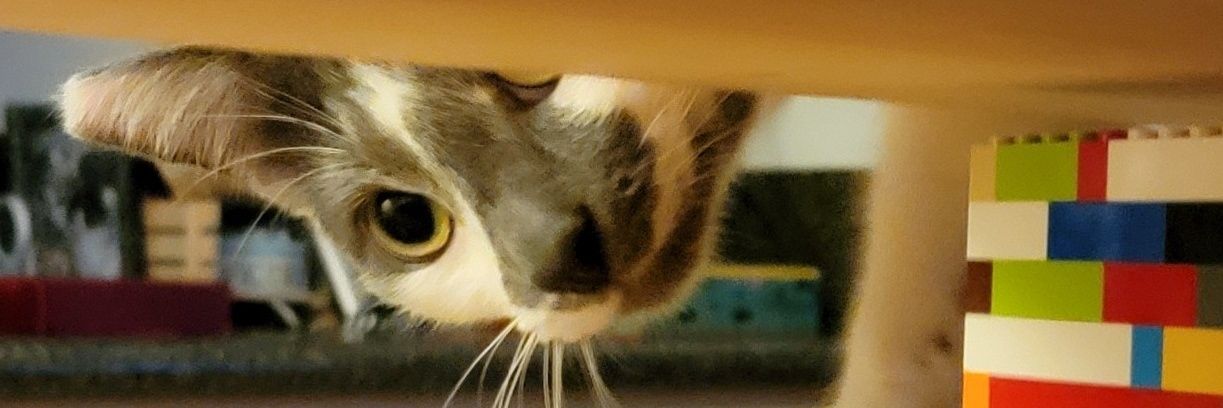 MaxwellBCharles's profile banner image