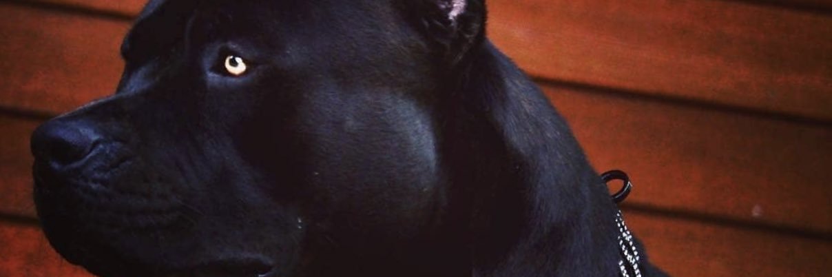 Manuel111's profile banner image