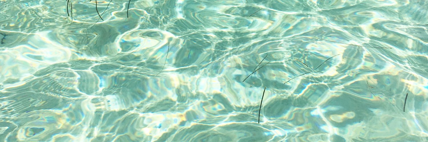 taniachi's profile banner image