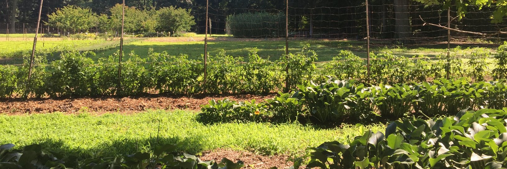 ELIJA Farm banner