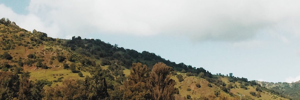 cotevilches's profile banner image