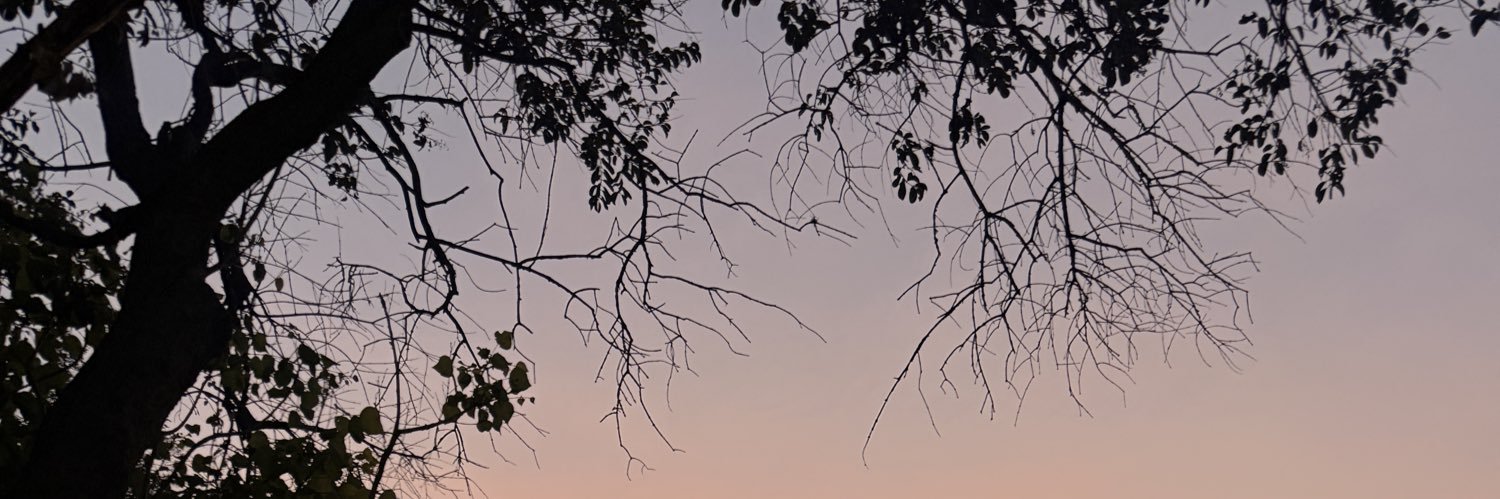 nice0104's profile banner image