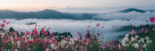 Ohmygabb's profile banner image