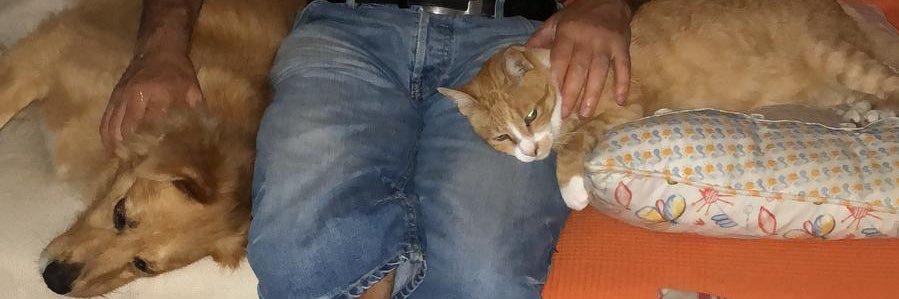 JOSUMG's profile banner image