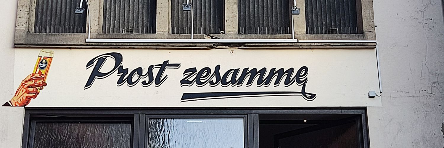 Bas Brinke banner