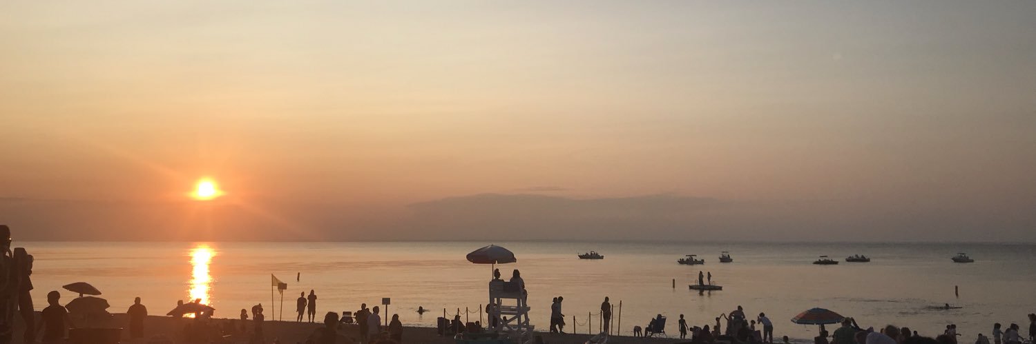 Denise Caliguri banner