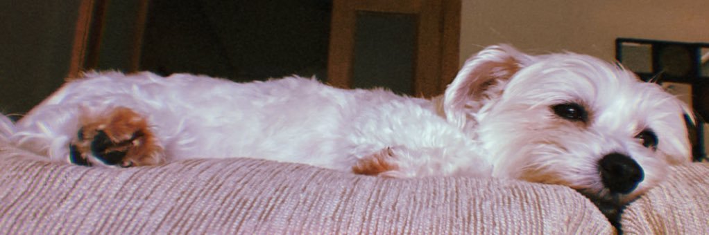 BeaNavarroFranc's profile banner image