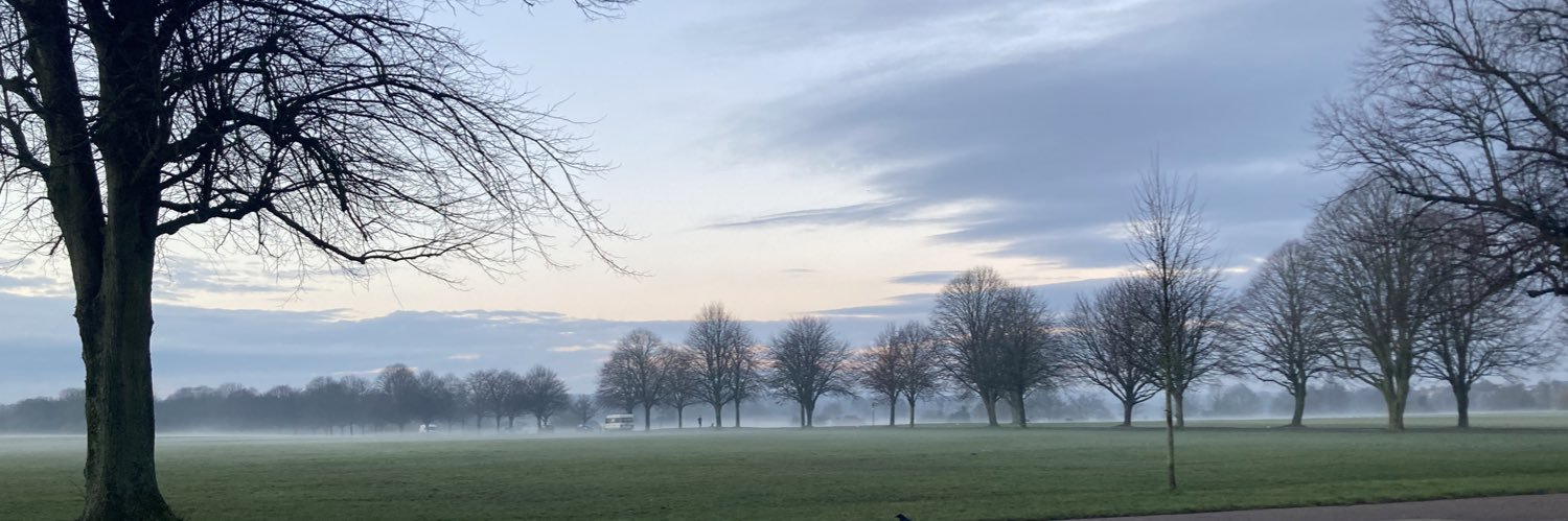 Kate Rowlands banner